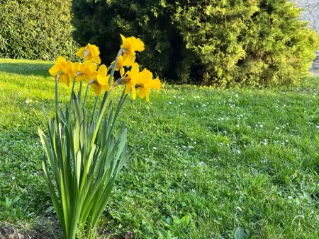 Grande maison de charme avec jardin clos, idéale pour familles et amis, au cœur du Perche - Photo 26