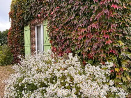Grande maison de charme avec jardin clos, idéale pour familles et amis, au cœur du Perche - Photo 29