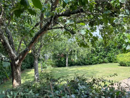 Grande maison de charme avec jardin clos, idéale pour familles et amis, au cœur du Perche - Photo 30