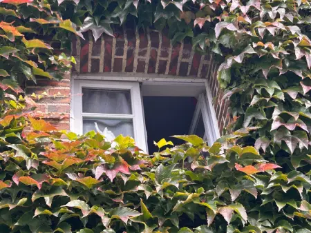 Grande maison de charme avec jardin clos, idéale pour familles et amis, au cœur du Perche - Photo 32