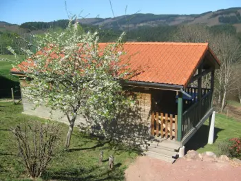 Gite à Les Noes,Charmant chalet 35m², 2 ch, terrasse privée, activités nature aux Monts de la Madeleine, animaux OK FR-1-496-240 N°839106