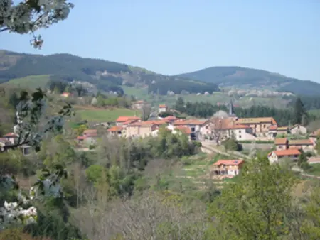 Chalet de charme avec terrasse et animaux acceptés - Photo 13