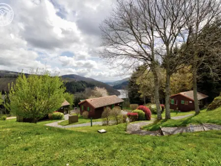 Charmant chalet en pleine nature avec terrasse privée et animaux acceptés - Photo 12