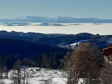 Gîte confortable avec terrasse et animaux acceptés - Photo 17
