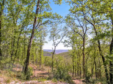 L'Aubépine, Maison 5 personnes à Loupiac - Photo 19