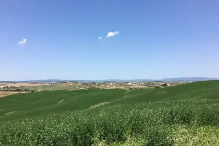 Angel, Ferme traditionnelle à Asciano avec piscine - Photo 28