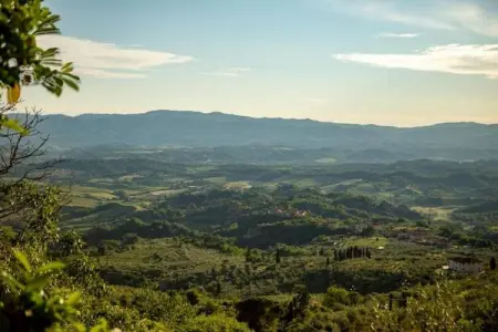 Angel, Ferme traditionnelle à Asciano avec piscine - Photo 35