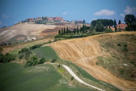 Capanna, Ferme paisible à Asciano avec piscine - Photo 34