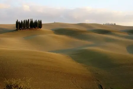 Capanna, Ferme paisible à Asciano avec piscine - Photo 35