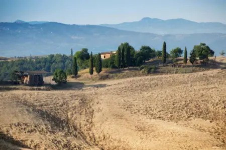 Capanna, Ferme paisible à Asciano avec piscine - Photo 37