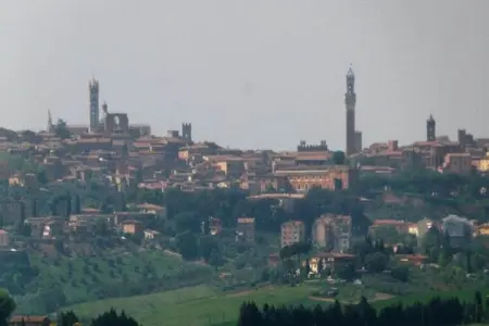 Capanna, Ferme paisible à Asciano avec piscine - Photo 39