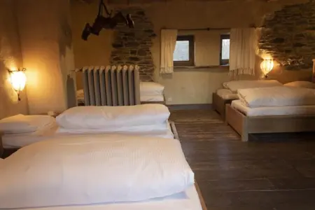 GÎTE CONTES DE SALME Lodge des Contes, Séjour à Vielsalm avec des amis à quatre pattes - Photo 10