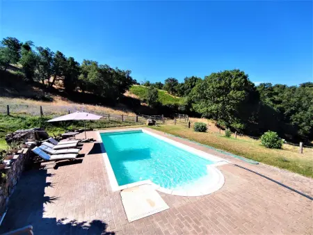 Casalini, Maison 4 personnes à Scansano - Photo 11