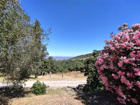 Casalini, Maison 4 personnes à Scansano - Photo 12