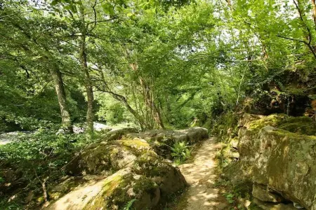 La Cabane de Jade, Chalet moderne à Sougné-Remouchamps près la forêt - Photo 12