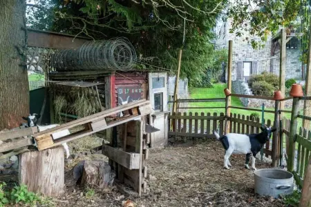 Au Télégraphe, Séjour au calme dans un jardin, Malmedy - Photo 26
