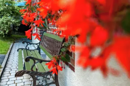 Au Télégraphe, Séjour au calme dans un jardin, Malmedy - Photo 37
