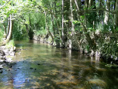 Vielsalm, Gite 9 personnes à Vielsalm - Photo 13