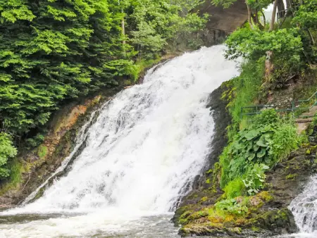 Vielsalm, Gite 9 personnes à Vielsalm - Photo 14