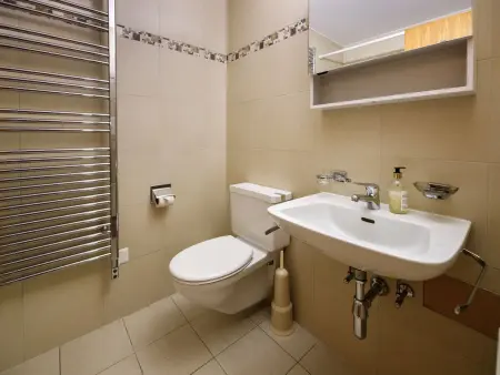Terrasse Des Alpes 618, Appartement 2 personnes à Crans Montana - Photo 12