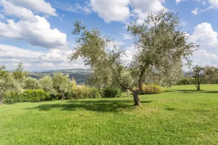Il Querceto Prima, Gîte toscan avec 2 piscines - Photo 25