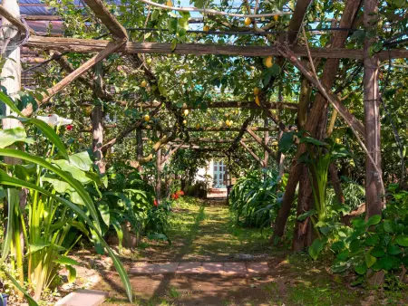 Il Montano, Appartement 4 personnes à Sorrento - Photo 18