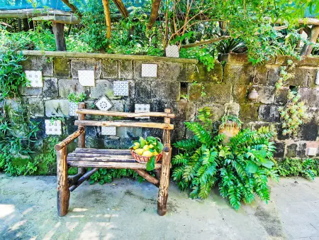 Il Montano, Appartement 4 personnes à Sorrento - Photo 19