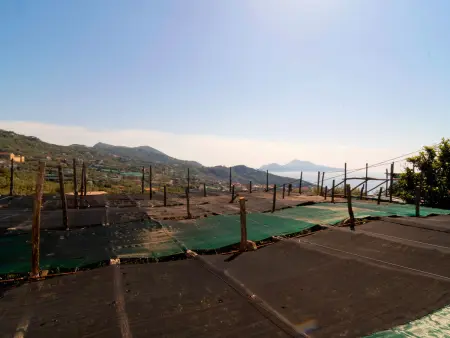 Il Montano, Appartement 4 personnes à Sorrento - Photo 22