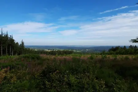 La lavande, Gîte romantique dans les Ardennes - Photo 17