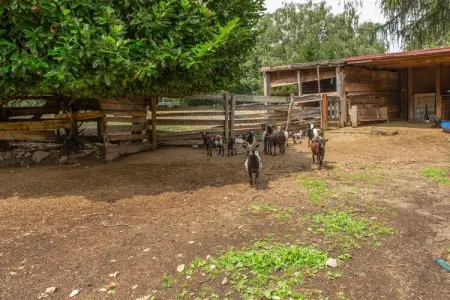 Ginestra, Ferme à Verbania avec vue sur les lacs - Photo 21