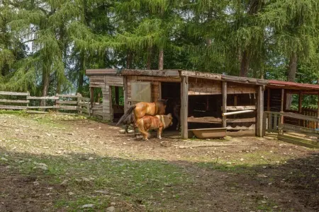 Ginestra, Ferme à Verbania avec vue sur les lacs - Photo 24