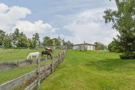 Rododendro, Ferme à Verbania avec vue sur les lacs - Photo 31