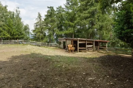 Rododendro, Ferme à Verbania avec vue sur les lacs - Photo 32