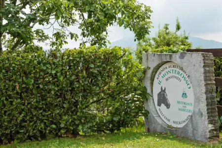 Rododendro, Ferme à Verbania avec vue sur les lacs - Photo 35