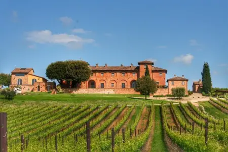 Tulipano, Ferme confortable à Montepulciano avec piscine - Photo 7