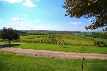 Tulipano, Ferme confortable à Montepulciano avec piscine - Photo 29