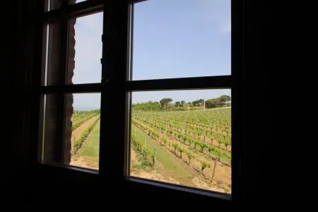 Tulipano, Ferme confortable à Montepulciano avec piscine - Photo 30