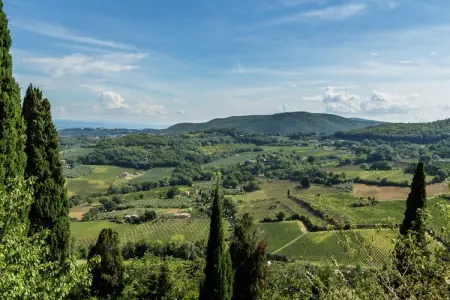 Tulipano, Ferme confortable à Montepulciano avec piscine - Photo 37