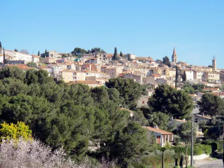 Le Puit des Oliviers 2, Villa 6 personnes à La Cadière d'Azur - Photo 29