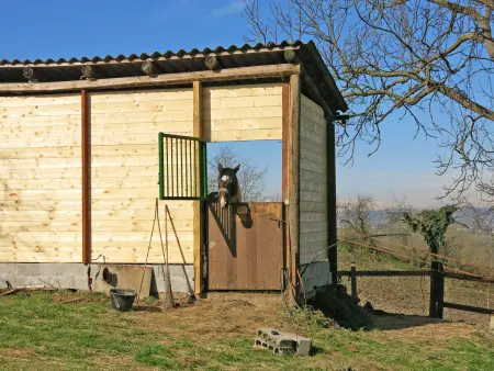 Paolo, Gite 6 personnes à Asti - Photo 30