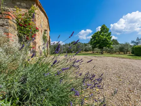 Il Laghetto, Maison 8 personnes à Pergine Valdarno - Photo 87