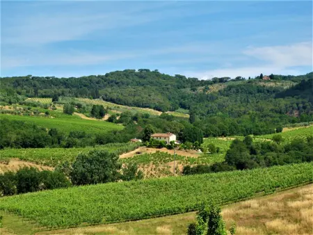 Villa Magna, Maison 12 personnes à San Casciano Val di Pesa - Photo 2