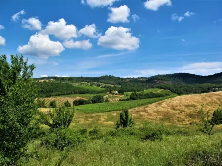 Villa Magna, Maison 12 personnes à San Casciano Val di Pesa - Photo 45