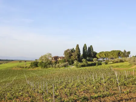 Campiglia, Maison 8 personnes à Tavarnelle Val di Pesa - Photo 36