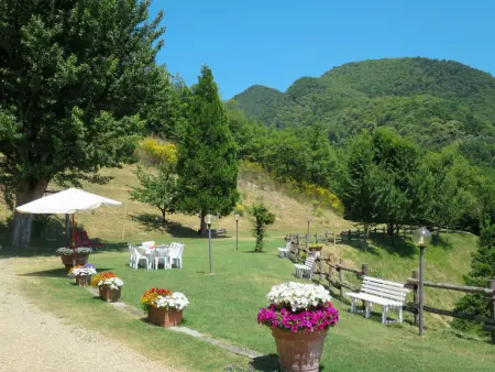 Podere Le Ripe, Maison 10 personnes à Vicchio - Photo 39