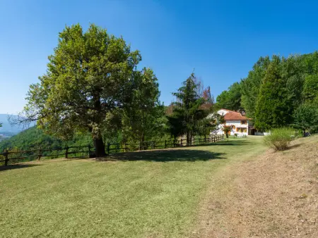 Podere Le Ripe, Maison 10 personnes à Vicchio - Photo 40