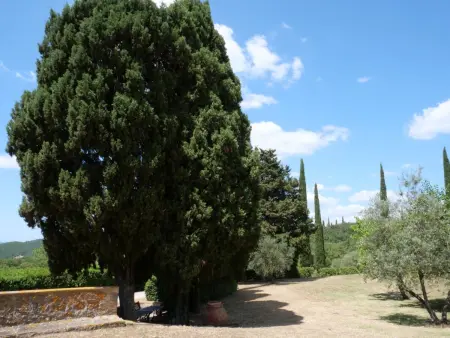 La Torre, Gite 8 personnes à Roccastrada - Photo 34