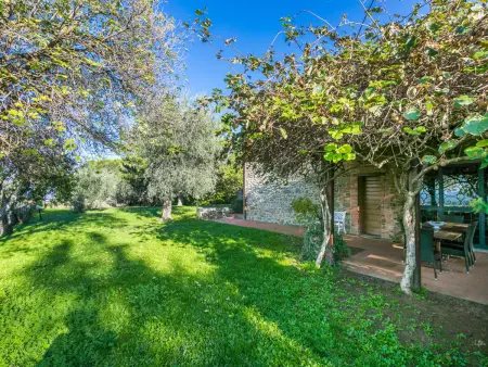 Belvedere, Maison 6 personnes à Gaiole in Chianti - Photo 42