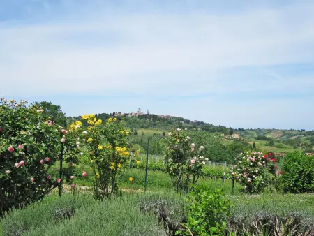 Le Fonti di Santa Lucia, Villa 10 personnes à San Gimignano - Photo 5