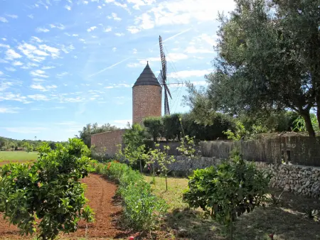 Moli de Son Vidal, Maison 8 personnes à Santanyí - Photo 43